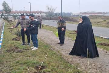 کاشت نهال به مناسبت روز درختکاری
